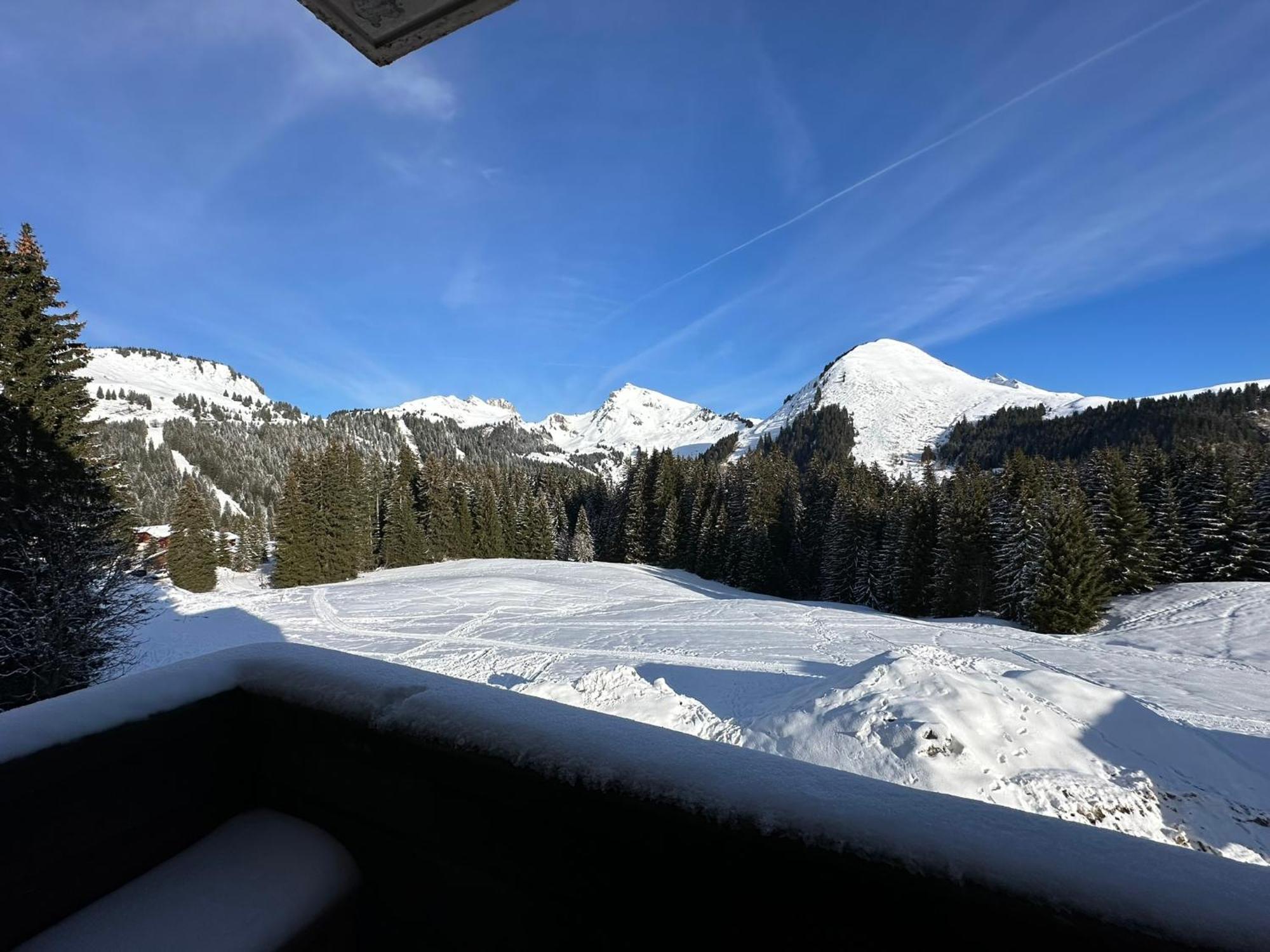 Studio Au Coeur Du Praz-De-Lys - Les Pralyssimes Le Praz de Lys Εξωτερικό φωτογραφία