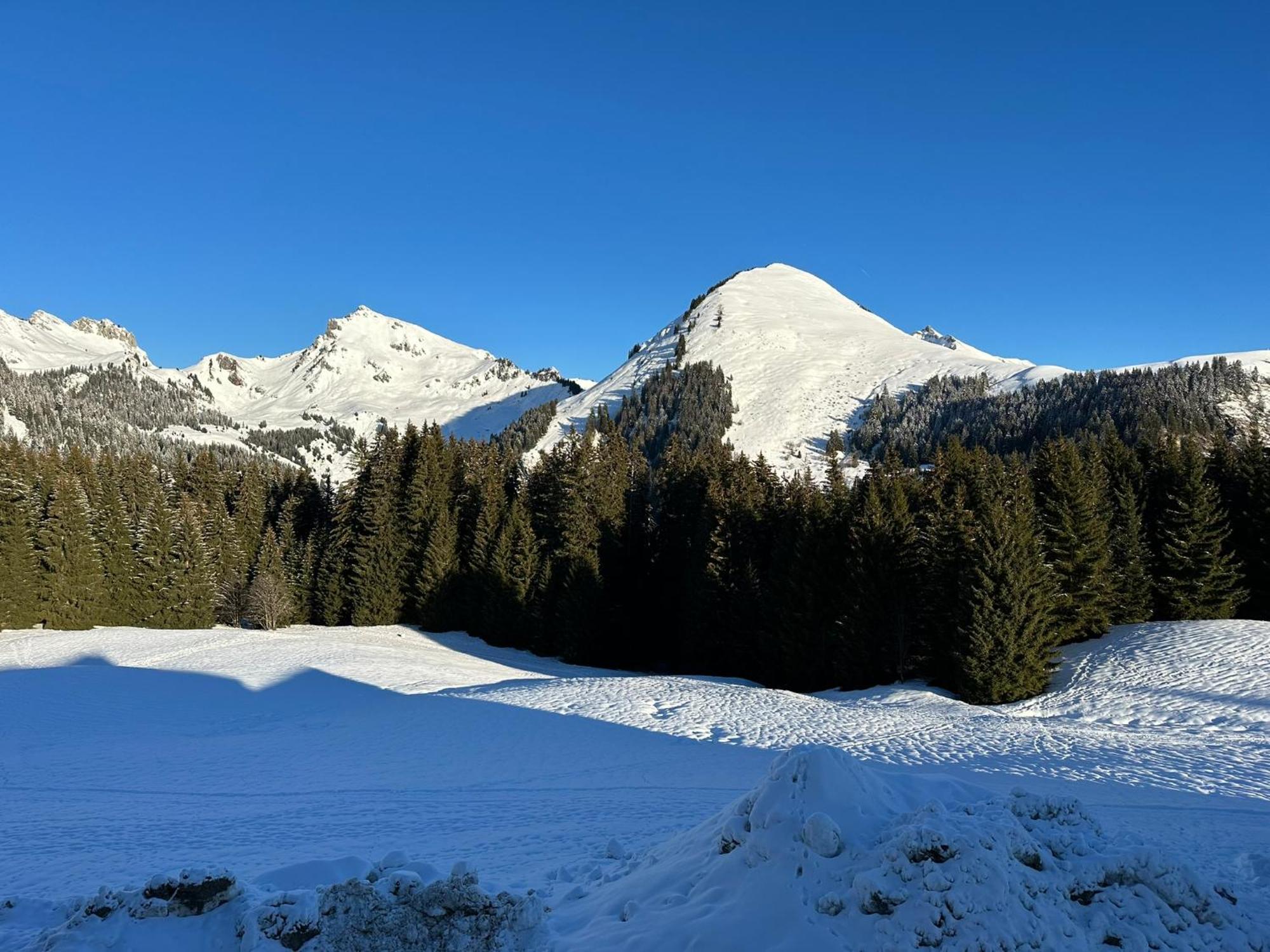 Studio Au Coeur Du Praz-De-Lys - Les Pralyssimes Le Praz de Lys Εξωτερικό φωτογραφία