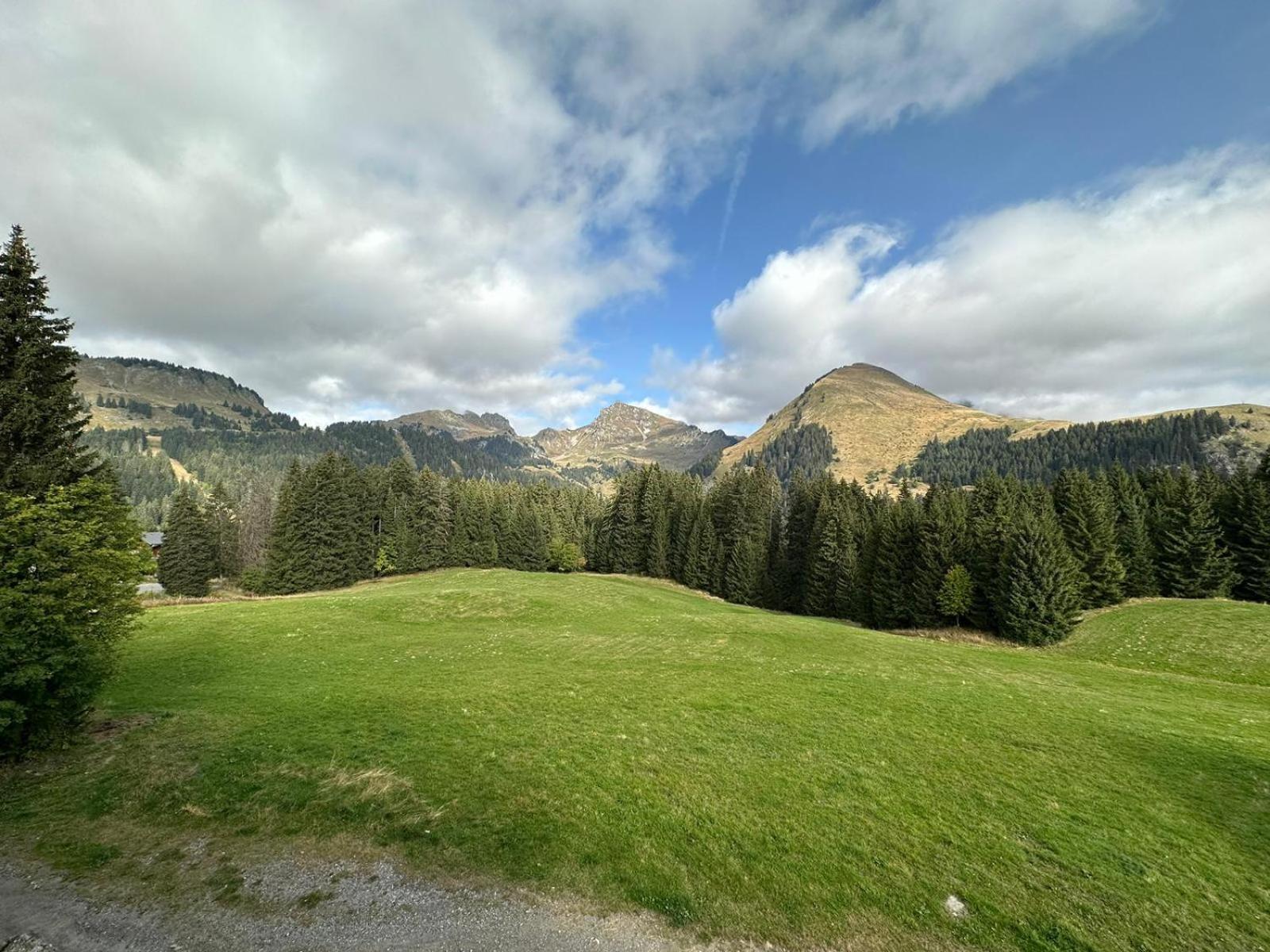 Studio Au Coeur Du Praz-De-Lys - Les Pralyssimes Le Praz de Lys Εξωτερικό φωτογραφία