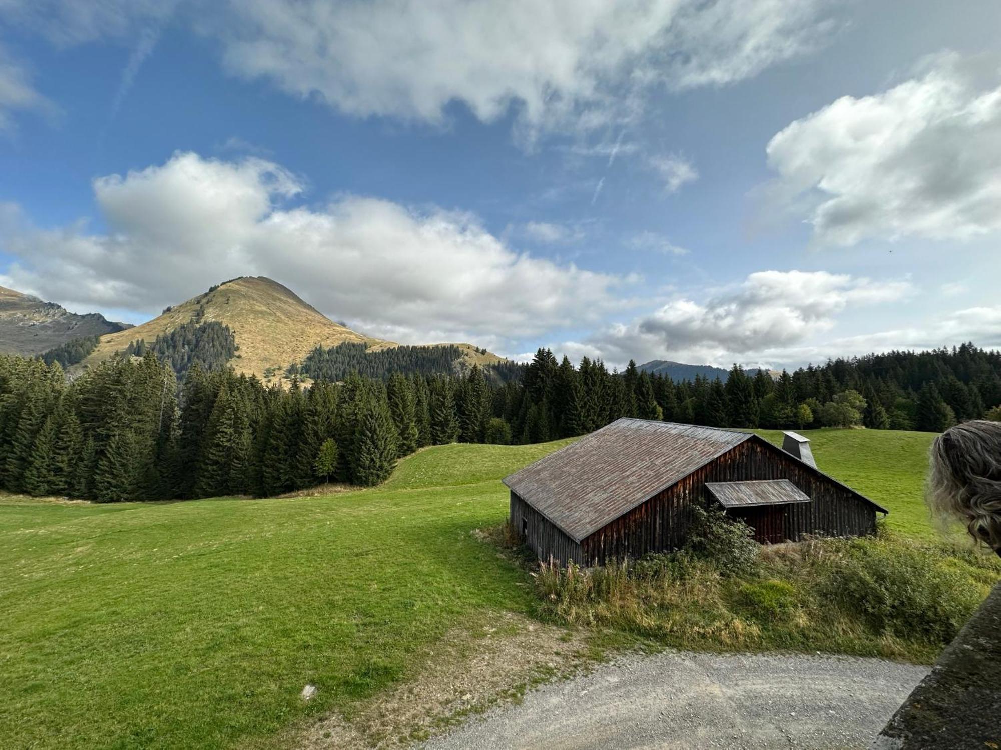 Studio Au Coeur Du Praz-De-Lys - Les Pralyssimes Le Praz de Lys Εξωτερικό φωτογραφία
