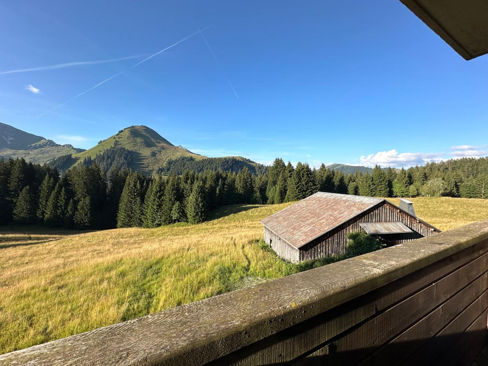 Studio Au Coeur Du Praz-De-Lys - Les Pralyssimes Le Praz de Lys Εξωτερικό φωτογραφία