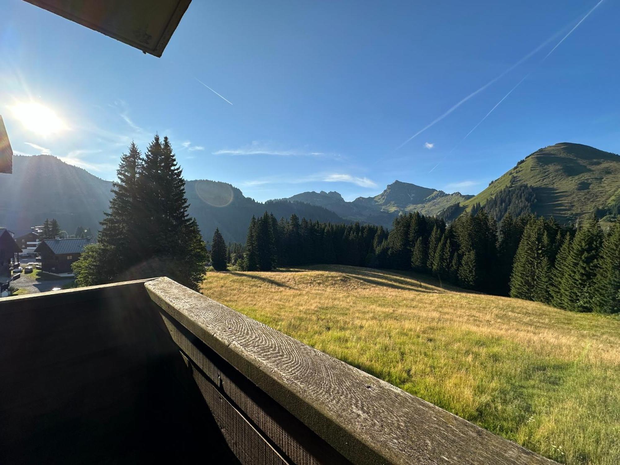 Studio Au Coeur Du Praz-De-Lys - Les Pralyssimes Le Praz de Lys Εξωτερικό φωτογραφία